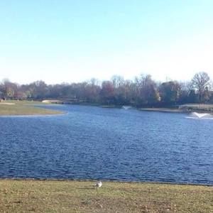 Meet your Posher, Tamara